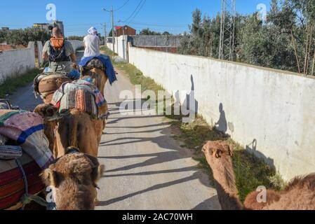 Sousse, Tunesien - 8 November 2019: Touristen auf einer Kamelkarawane in Sousse in Tunesien Stockfoto