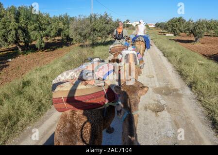 Sousse, Tunesien - 8 November 2019: Touristen auf einer Kamelkarawane in Sousse in Tunesien Stockfoto