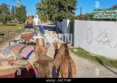 Sousse, Tunesien - 8 November 2019: Touristen auf einer Kamelkarawane in Sousse in Tunesien Stockfoto