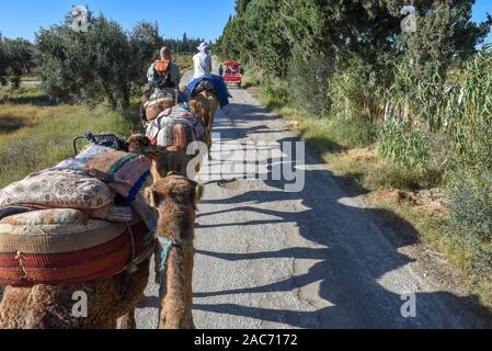 Sousse, Tunesien - 8 November 2019: Touristen auf einer Kamelkarawane in Sousse in Tunesien Stockfoto