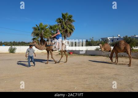 Sousse, Tunesien - 8 November 2019: Tourist auf einer Kamelkarawane in Sousse in Tunesien Stockfoto