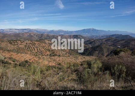 Panoramablick östlich von Parque Natural Montes de Málaga, Spanien. Stockfoto