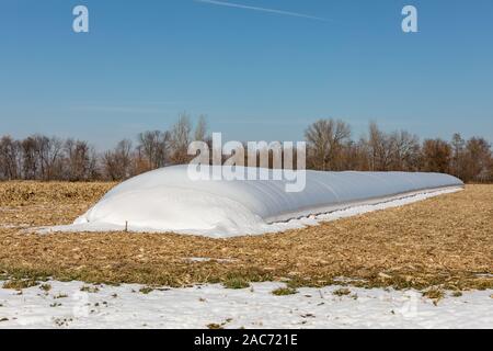 Temporäre outdoor Korn Beutel Storage System voll von Mais in Maisfeld mit Schnee Stockfoto