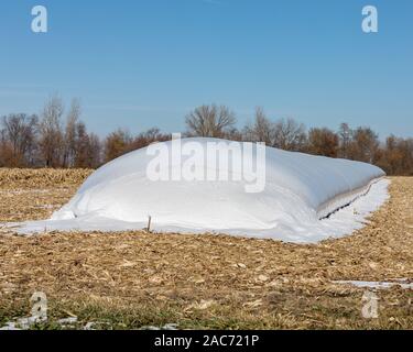 Temporäre outdoor Korn Beutel Storage System voll von Mais in Maisfeld mit Schnee Stockfoto