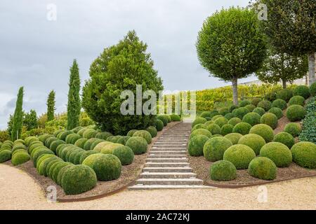 Wunderschön angelegten Garten mit Buchsbaum Kugeln in der Nähe von Chateau d'Amboise im Loiretal in Frankreich Stockfoto