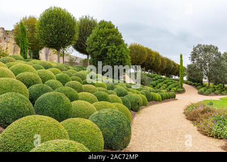 Wunderschön angelegten Garten mit Buchsbaum Kugeln in der Nähe von Chateau d'Amboise im Loiretal in Frankreich Stockfoto