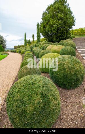 Wunderschön angelegten Garten mit Buchsbaum Kugeln in der Nähe von Chateau d'Amboise im Loiretal in Frankreich Stockfoto