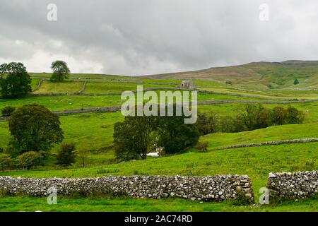 Trockenmauern in den Yorkshire Dales National Park, North Yorkshire, England, Großbritannien Stockfoto
