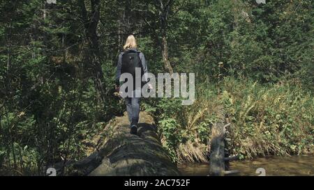 Traveler fotografieren malerischen Blick in den Fluss. Holz Brücke gefallenen Baum. Eine kaukasische Frau schießen nettes Magic suchen. Mädchen nehmen Foto Video auf ca Stockfoto