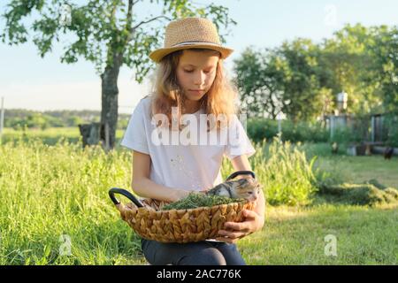 Neugeborene Kätzchen im Korb sitzen, Mädchen kleine Katze in die Arme im Garten Stockfoto