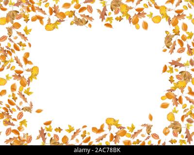 Sammlung schöne bunte verschiedene Blätter im Herbst, weht durch die Luft auf weißem Hintergrund, Herbst Konzept Hintergründe, Herbst Verkauf, Stockfoto