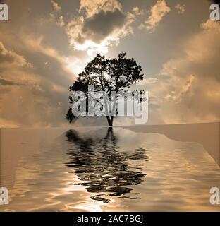 Alien exosolar planet Landschaft. Einsamer Baum im Wasser Welt Stockfoto
