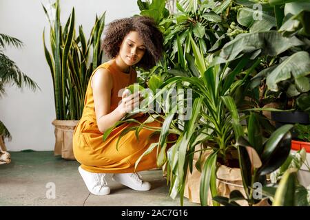 Junge Frau sitzt im botanischen Studio und suchen auf der grünen Blatt Stockfoto