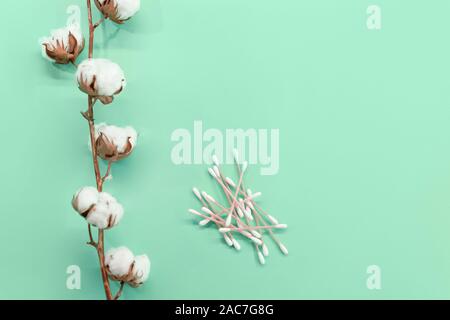 Zweig von Baumwolle und Wattestäbchen auf einem mint Hintergrund. Umweltfreundlichkeit Stockfoto