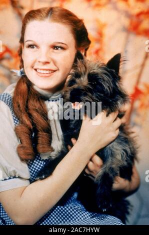 Der Zauberer von Oz 1939 MGMN Film mit Judy Garland mit Terry der Hund als Toto Stockfoto