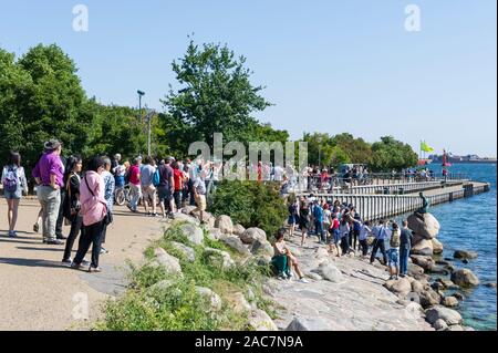 Die berühmte Kleine Meerjungfrau in Kopenhagen, Dänemark. Stockfoto