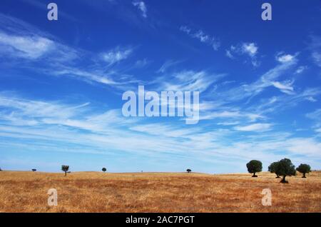 Landschaft der Region Alentejo, im Süden von Portugal Stockfoto