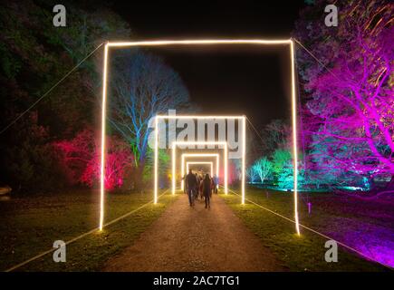 Westonbirt, South Gloucestershire, Vereinigtes Königreich. 29. November 2019. Die alten Wälder aus Seide, Holz im Arboretum ist beleuchtet mit einer Vielzahl von bunten Lichtern für die jährliche Verzauberte Weihnachten Trail. Stockfoto