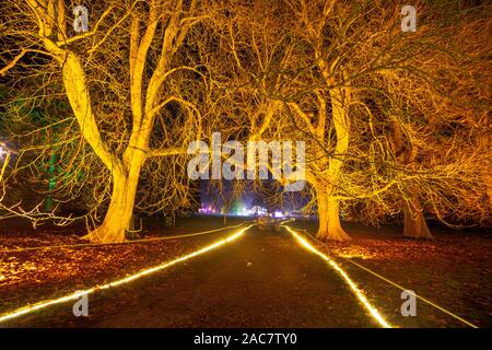 Westonbirt, South Gloucestershire, Vereinigtes Königreich. 29. November 2019. Die alten Wälder aus Seide, Holz im Arboretum ist beleuchtet mit einer Vielzahl von bunten Lichtern für die jährliche Verzauberte Weihnachten Trail. Stockfoto