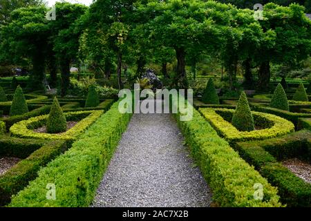 , Wisteria Kreis, Acer palmatum, Terrasse, Gärten, Bantry House & Gardens, West Cork Garden Trail, RM Floral Stockfoto