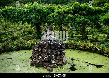 , Wisteria Kreis, Acer palmatum, Terrasse, Gärten, Bantry House & Gardens, West Cork Garden Trail, RM Floral Stockfoto