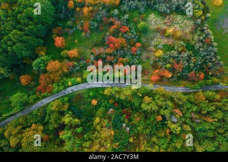 Beeindruckende Luftaufnahme der Straße mit Autos zwischen bunten Herbst Wald Stockfoto