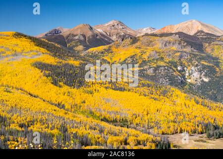 Gelbe Aspen Bäume in den San Juan Mountains in Colorado in der Nähe von Lake City Stockfoto