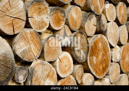 Alter Holz- ringe Hintergrund. Selektive konzentrieren. Rundholz Stockfoto