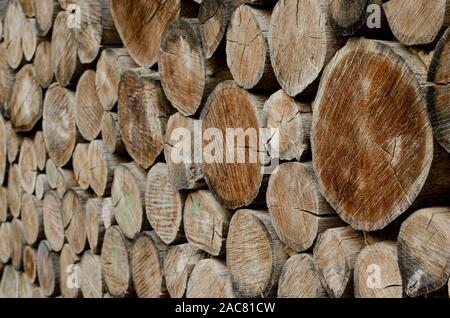 Alter Holz- ringe Hintergrund. Selektive konzentrieren. Rundholz Stockfoto