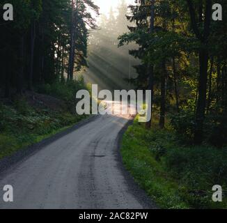 Lichtstrahlen über Morgennebel in Bogesundslandet, in der Nähe von Vaxholm, Schweden Stockfoto