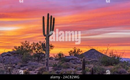 Lebendige, leuchtende Wüste in Arizona Sunset aus farbigen Wanderweg in Scottsdale,. Arizona Stockfoto