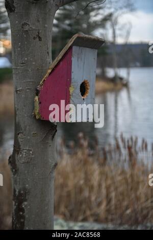 Vogelhaus verwittert - Nest zu Baum genagelt - Bird House im Winter durch einen See - alte Vogelhaus im Herbst von einem Teich - Vogelhaus Nistkasten aufhängen lackiert Stockfoto