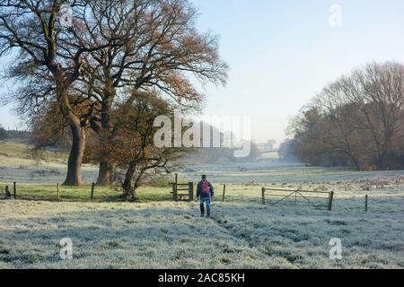 Man Walking im Winter in einem eisigen eisigen Feld in Betchton Vale Sandbach in der Landschaft von Cheshire England Stockfoto