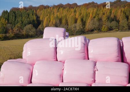 Bunte rosa Kunststoff runde Heu- oder Strohballen in die Landschaft gestapelt mit einem Anhänger mit Feldern und Eichenwäldern hinter im hellen Sonnenschein Stockfoto