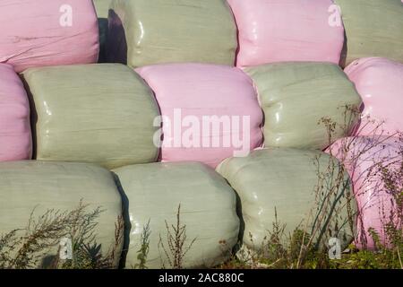 Bunte rosa und grün Kunststoff verpackte runde Heu- oder Strohballen zusammen im hellen Sonnenschein gestapelt auf dem Bauernhof Stockfoto