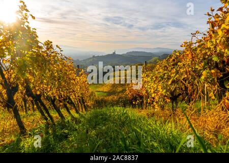 Landschaft Blick über rostige Weinberge und Hügel in der Steiermark, Österreich. Stockfoto