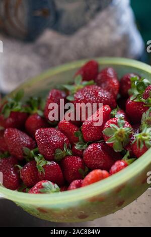 Frische Erdbeeren in der grünen Schale. Gesunden Snack. Beeren für Mittagessen. Zutaten für Obstsalat. Stockfoto