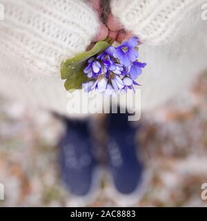 Schönen Schneeglöckchen in die Hände einer jungen Frau in Weiß Strickjacke und blauen Schuhe. Erste Frühling Blumen in einem Wald. Anfang des Frühlings in einem Wald. Stockfoto