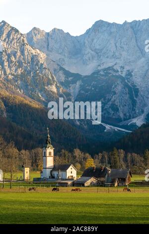 Vertikaler Kirche, Häuser, Pferde füttern auf grünem Gras, Slowenien. Stockfoto