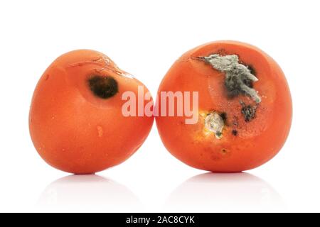 Gruppe von zwei ganze abgestanden rote Tomaten auf weißem Hintergrund Stockfoto