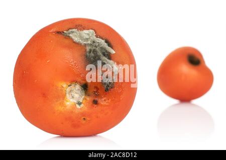 Gruppe von zwei ganze abgestanden rote Tomaten auf weißem Hintergrund Stockfoto