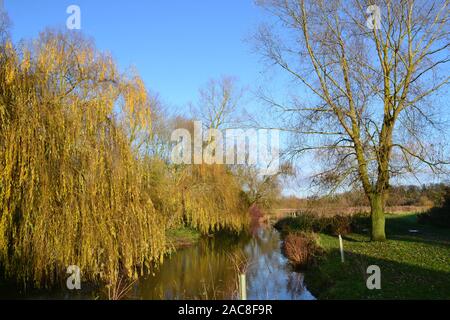 Weiden am Fluss Stour in der Nähe von Clare und Cavendish auf Bower Halle auf der Essex und Suffolk Grenze auf der klaren Wintertag. Stockfoto