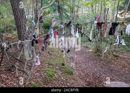 Clooties, oder Lumpen, Links als Opfergaben an Clootie Gut auf der Black Isle, Ostern Ross, Schottland. Stockfoto