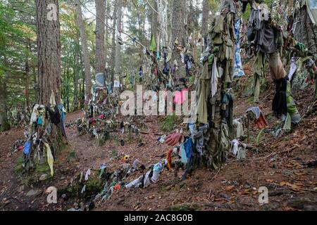 Clooties, oder Lumpen, Links als Opfergaben an Clootie Gut auf der Black Isle, Ostern Ross, Schottland. Stockfoto