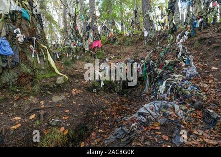 Clooties, oder Lumpen, Links als Opfergaben an Clootie Gut auf der Black Isle, Ostern Ross, Schottland. Stockfoto