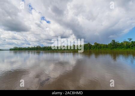 Braunes Wasser und das Grün der Bäume auf den Suriname Fluss in Südamerika in der Nähe von Französisch-guayana. Stockfoto