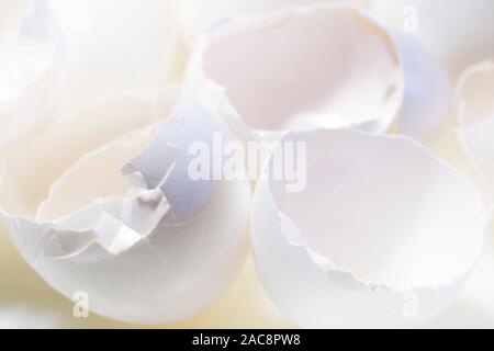 Schließen Sie herauf Foto der gebrochenen Eierschalen. Stockfoto