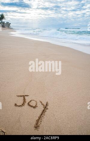 Das Wort Freude in den Sand am Strand geschrieben mit einer Welle in der Waschmaschine Stockfoto