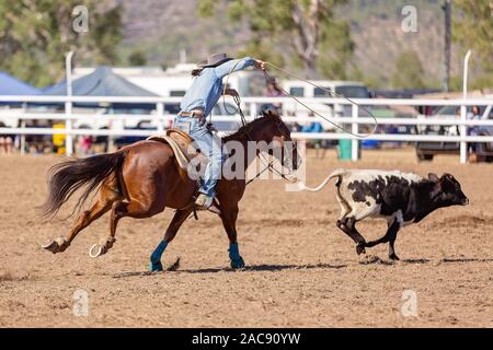 Ein cowgirl konkurrieren in einem Calf Roping Veranstaltung in einem Land Rodeo Stockfoto