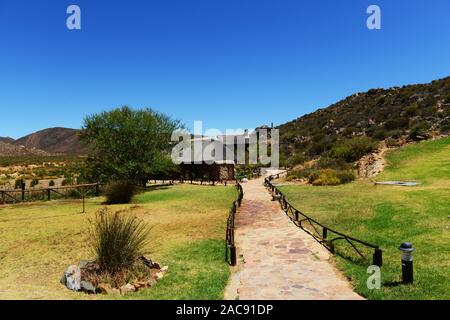 Die Aquila Game Reserve, Western Cape, Südafrika Stockfoto